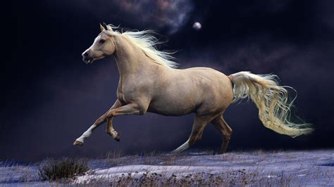 Free Horse Screensavers And Wallpapers - Wallpaper Cave