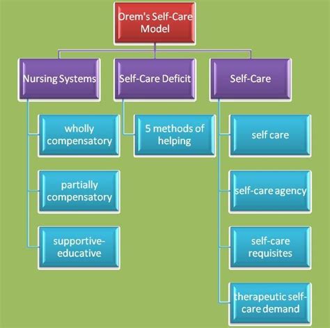 Description of the Model - Dorothea Orem's Self-Care Theory | Orem theory, Nursing theory ...