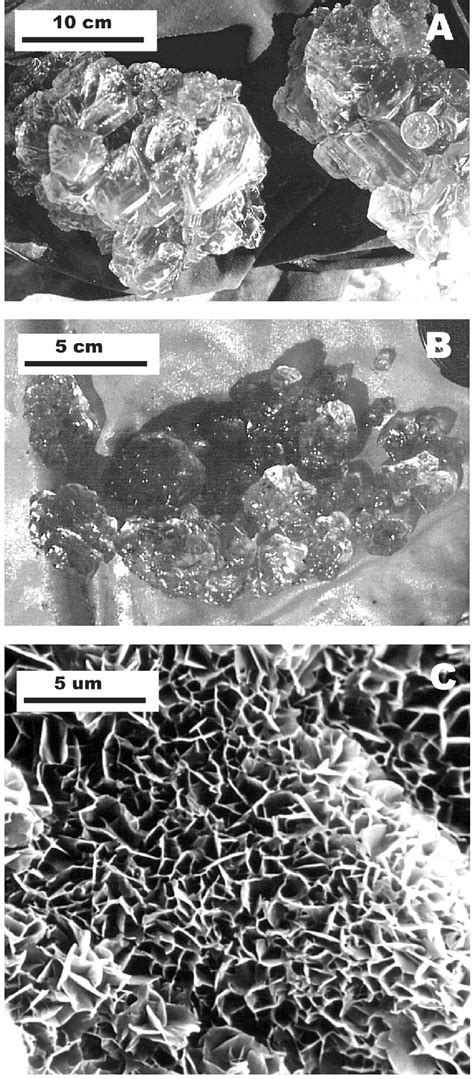 Examples of deep water evaporites from western Canada salt lakes (A ...