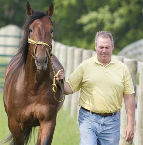 Nova Scotia's most famous harness racing horse stricken with cancer | CBC News