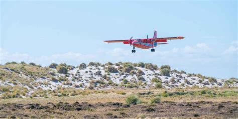 Two Weeks In The Falkland Islands Itinerary & 2024 Guide