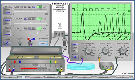 Oscilloscope Simulator Software UPD Free