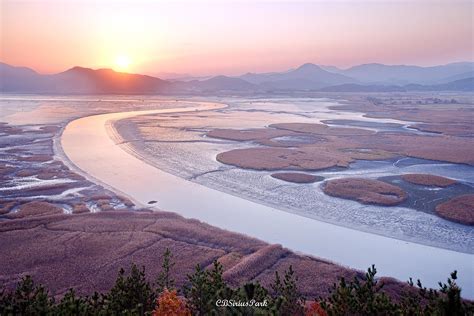 The sunset at Suncheon Bay, Suncheon, Korea. : r/MostBeautiful