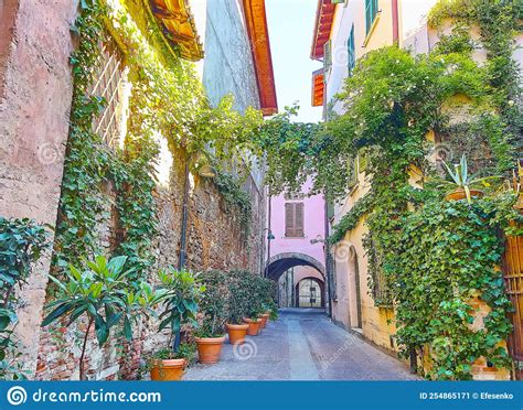 The Street with Grapevines, Brescia, Italy Stock Image - Image of capriolo, italy: 254865171