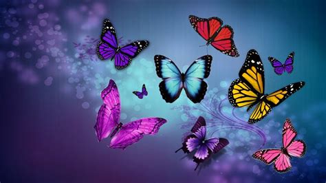 Purple Blue Sparkle | Purple butterfly wallpaper, Butterfly wallpaper ...