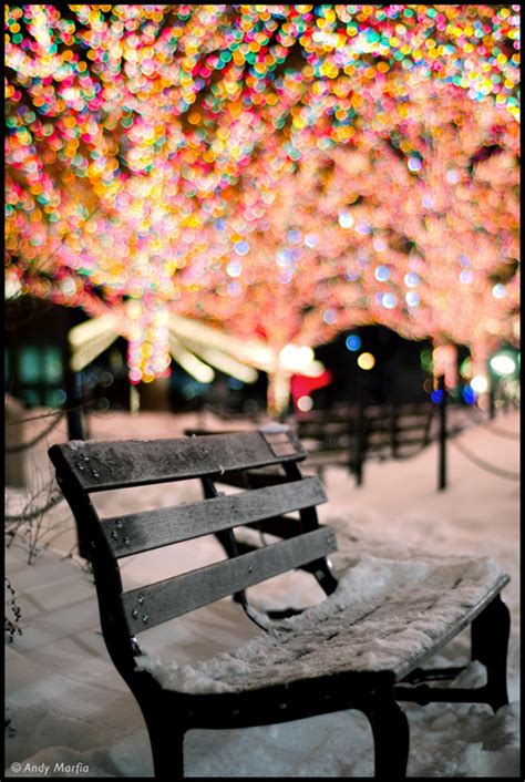 Twinkle Lights Photography for Inspiration | Photography | Graphic ...