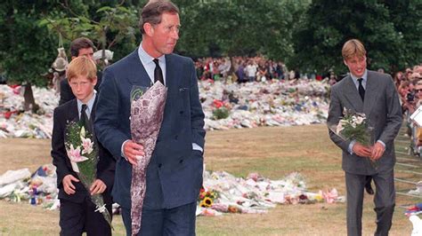 Princes William and Harry recreate touching scenes after Diana's death ...