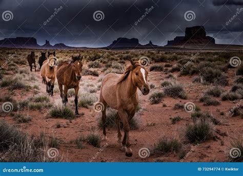 Wild Horses Monument Valley Stock Photo - Image of mammal, monument ...