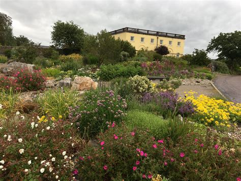 At National Botanic garden of Wales | Botanical gardens, Garden, House styles