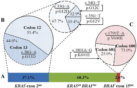 Status of KRAS and BRAF mutations in Vietnamese patients with CRC. (A)... | Download Scientific ...