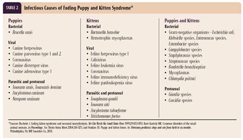 Causes of fading puppy and kitten syndrome