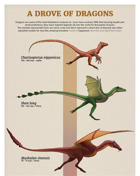 Dragon evolution chart by Julio Lacerda : SpeculativeEvolution