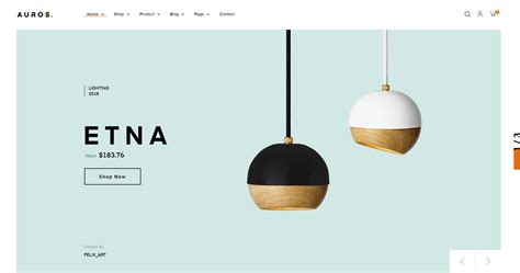 10+ Best Clean & Minimalist WordPress Themes For Ecommerce 2020