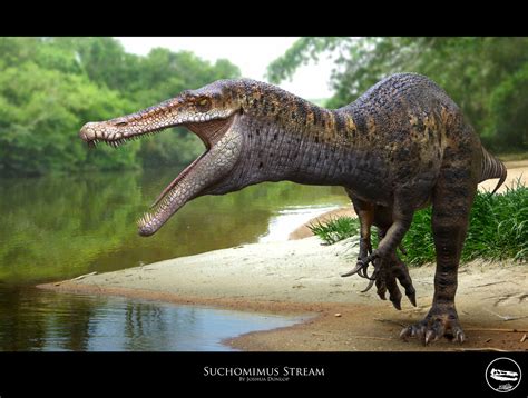 Joshua Dunlop - Suchomimus Stream