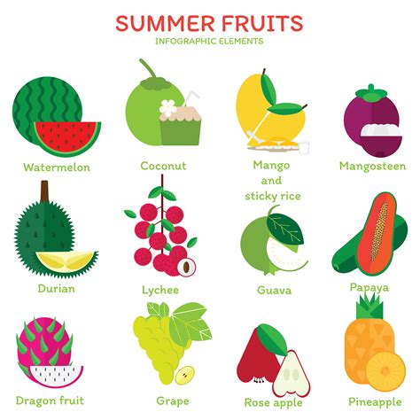 Summer Fruits elements 622239 Vector Art at Vecteezy