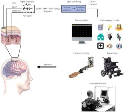 Brain Computer Interface (BCI) System Overview & Applications