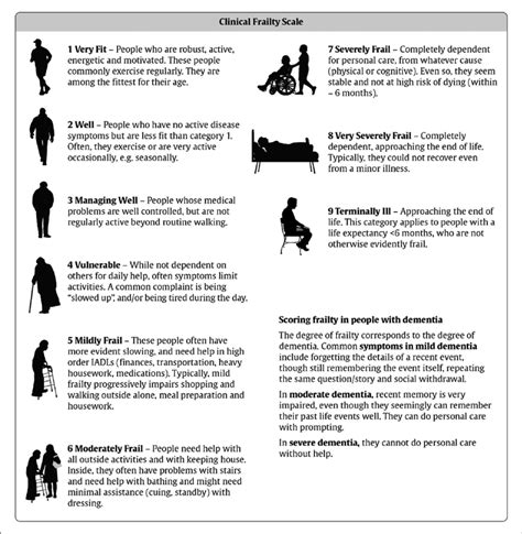 Frailty Scale For The Elderly