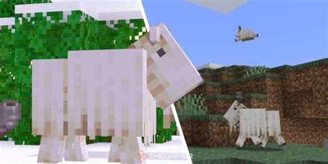 Minecraft: Everything You Need To Know About Goats