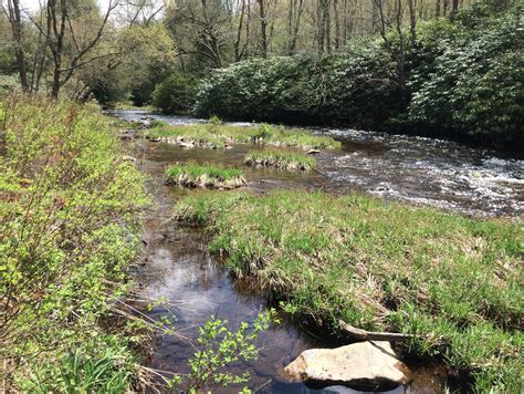 Hickory Run State Park, Pennsylvania – Brook Trout Fishing Guide