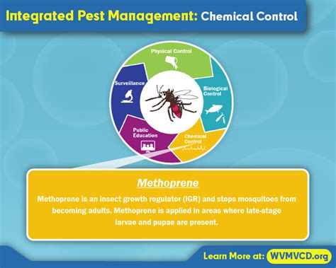 IPM | wvmvcd