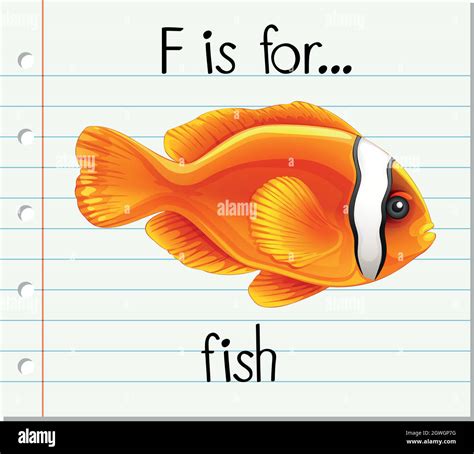 Flashcard letter F is for fish Stock Vector Image & Art - Alamy