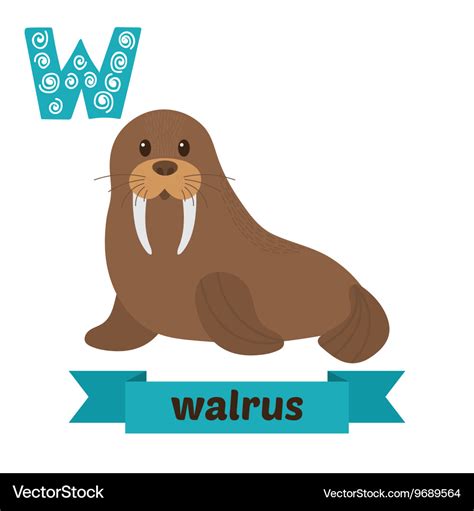 Walrus w letter cute children animal alphabet Vector Image