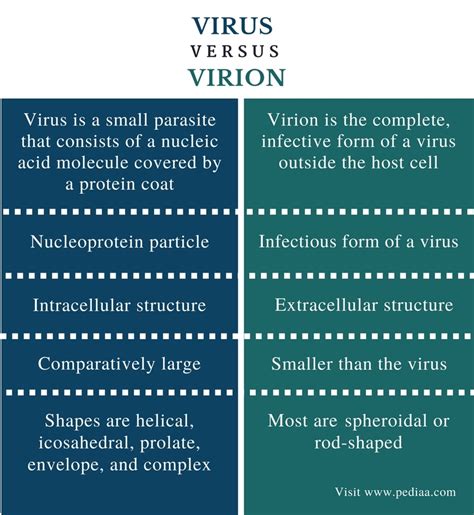 Difference Between Virus and Virion | Definition, Role, Structure, Similarities and Differences