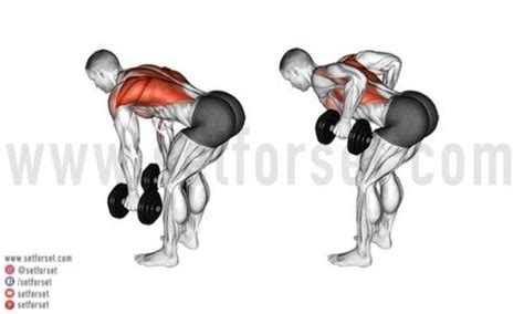 9 Best Dumbbell Back Exercises to Enhance Your Workouts - Fitness ...