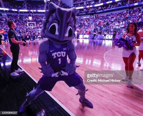 472 Tcu Mascot Stock Photos, High-Res Pictures, and Images - Getty Images