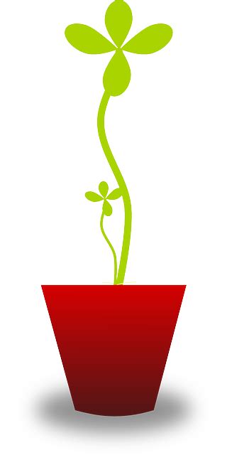 Plant Pot Tender - Free vector graphic on Pixabay
