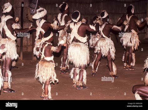 Zulu dance hi-res stock photography and images - Alamy