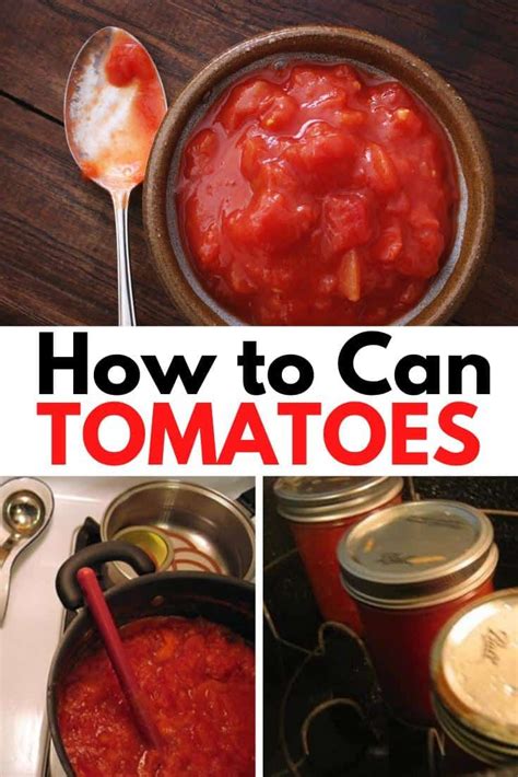 How to Can Tomatoes the Easy Way - Perfect for Beginners | Canning ...