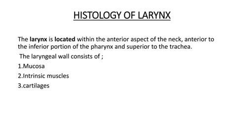 Histology of pharynx & larynx