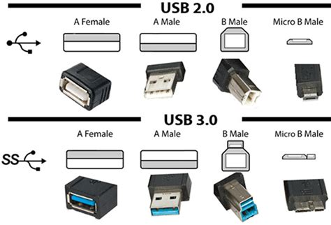 USB 2.0 vs 3.0 Cables: What to Know Before You Buy - Wandkey