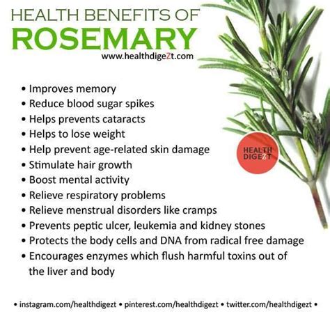 Health Benefits of Rosemary