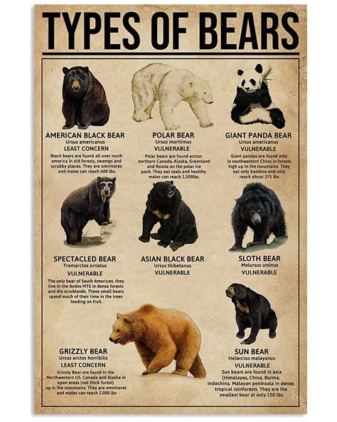 Bear Species Ev Manual