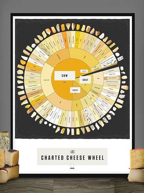 The Charted Cheese Wheel | Design Genius | Types of cheese, Kinds of cheese, Cheese lover