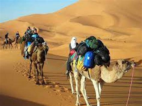 6 DAYS CAMEL TREKKING IN SAHARA DESERT in M'Hamid El Ghizlane, Maroc