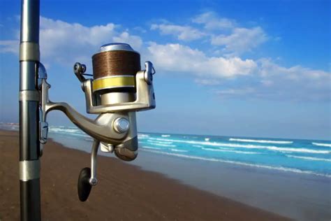 Best Saltwater Reel for Surf Fishing – Surfcasting Republic