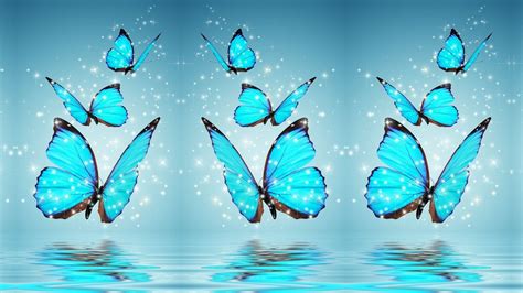 Blue Butterfly HD Wallpapers - Top Free Blue Butterfly HD Backgrounds ...