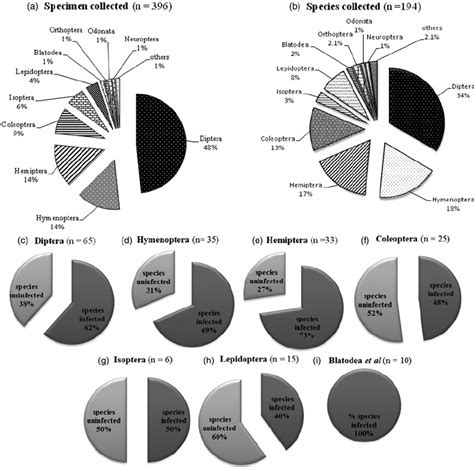 Diversity and abundance of insects collected, and the proportion of... | Download Scientific Diagram