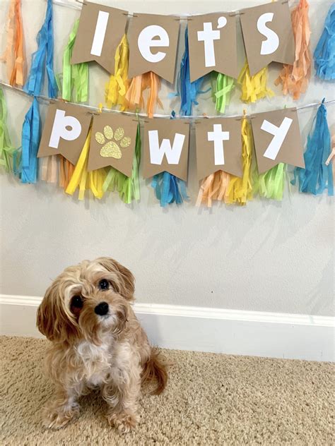 a small dog sitting on the floor in front of a party banner that says let's pawty