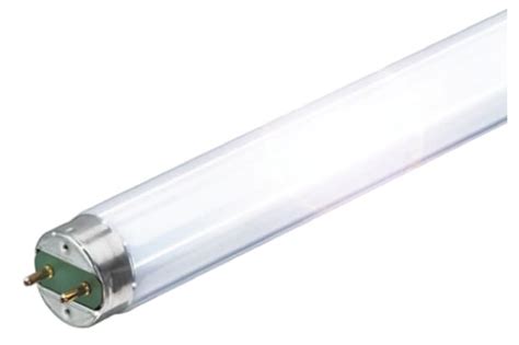 Fluorescent Tubes Buying Guide - Types, Sizes and Uses