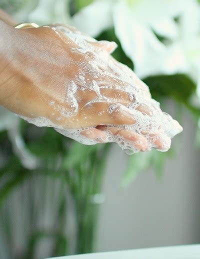 DIY 'Aesop' Hand Wash | Whole Elise