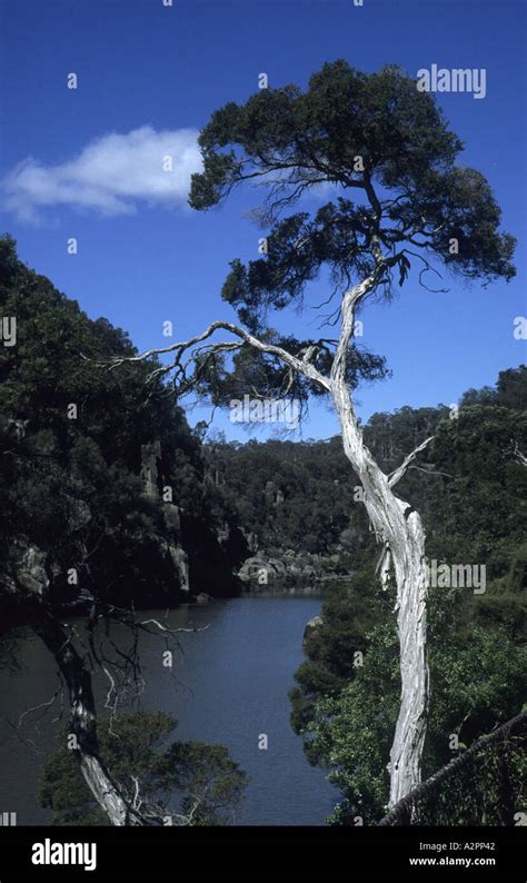 Cataract Gorge, Launceston, Tasmania, Australia Stock Photo - Alamy