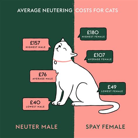 Does It Cost More To Spay Or Neuter A Dog