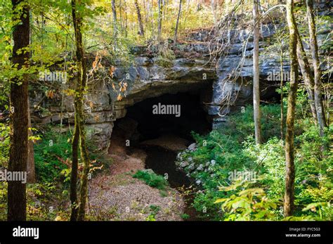 Russell Cave National Monument Stock Photo - Alamy