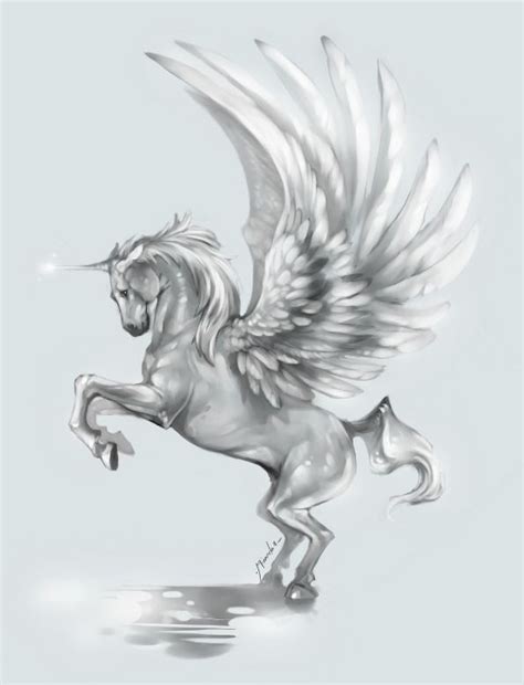 Unicorn with Wings by TheShock on deviantART Pegasus Drawing, Pegasus ...