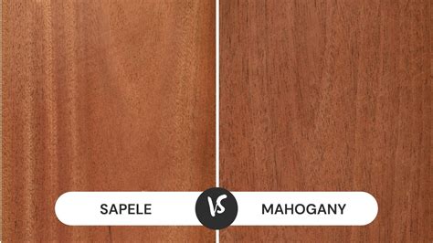 Sapele vs Mahogany Comparison: What's The Difference - CMUSE