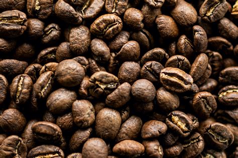 Bulking Up: A Guide to Buying Bulk Wholesale Coffee Beans — 8th and Roast